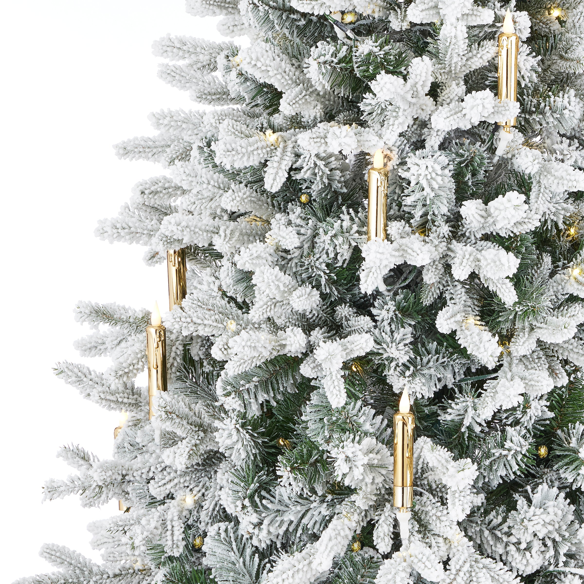Christmas Trees – Seasonal LLC