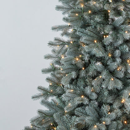 Blue Spruce Tree with Warm White LED Lights