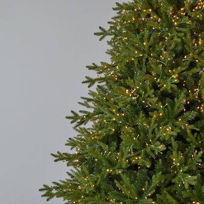 Dandan Pine Tree with Warm White LED Lights