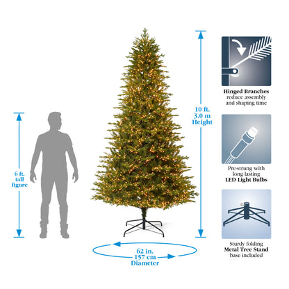 Dandan Pine Tree with Warm White LED Lights