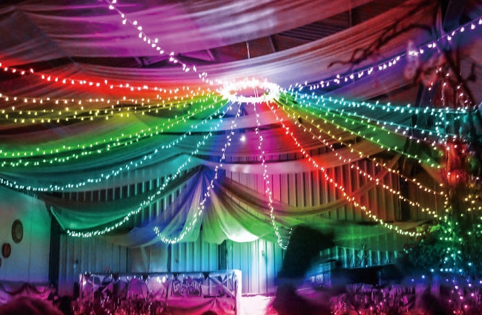 Vivvi App-Based Customizable, Color-Changing Indoor/Outdoor Cluster Lights, 19 ft. long