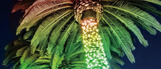 Vivvi App-Based Customizable, Color-Changing Indoor/Outdoor String Lights, 196 ft. long