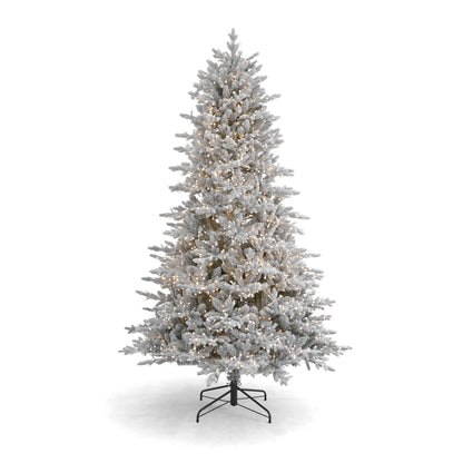 Dandan Flocked Pine Tree with Warm White LED Lights