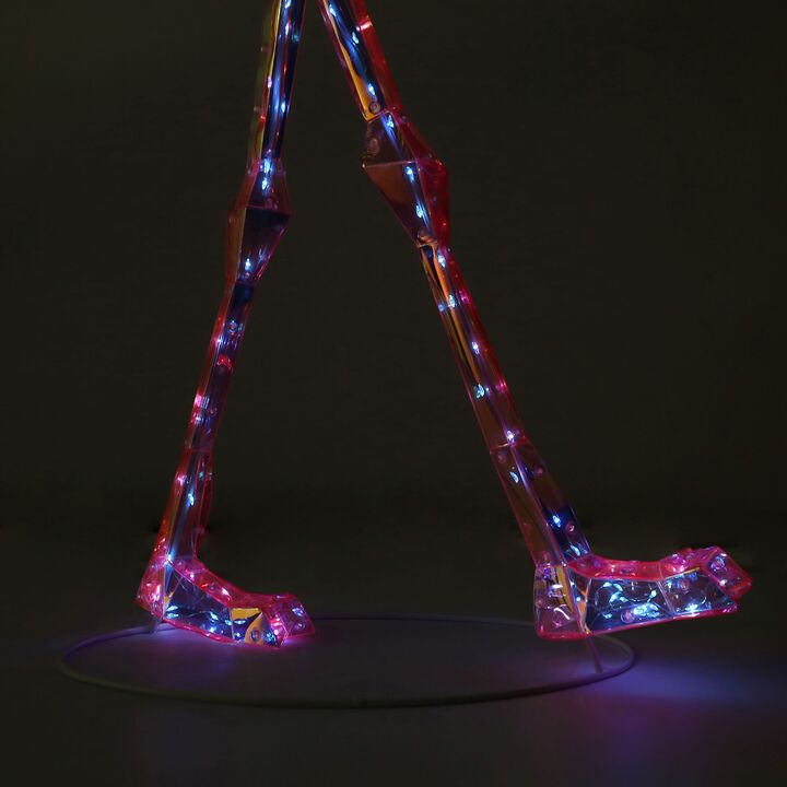 Prismatic Iridescent 36" Flamingo - Margarita