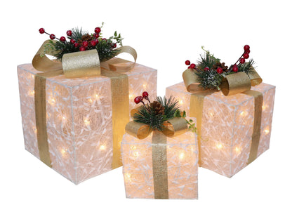 White Glitter Giftbox Pre-Lit Set of 3