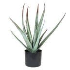 Artificial Potted Aloe Plant 20in