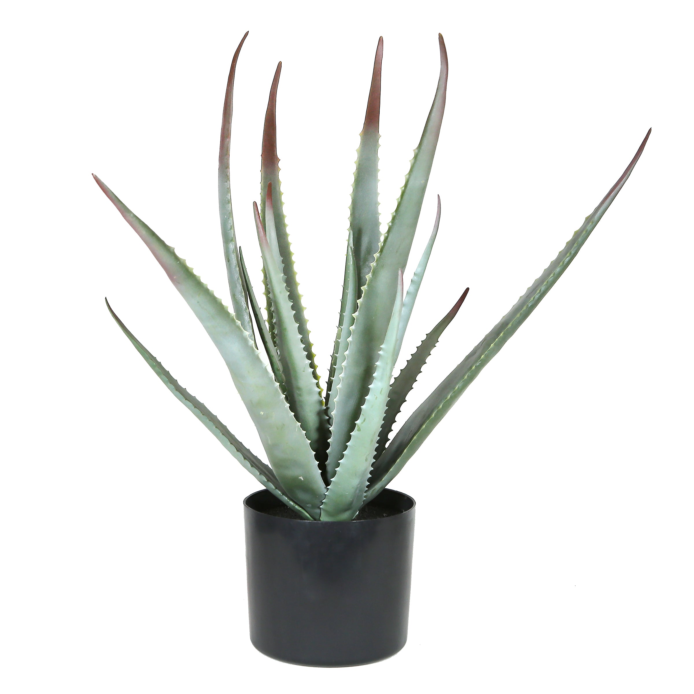 Artificial Potted Aloe Plant 20in