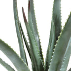 Artificial Potted Aloe Plant 20in