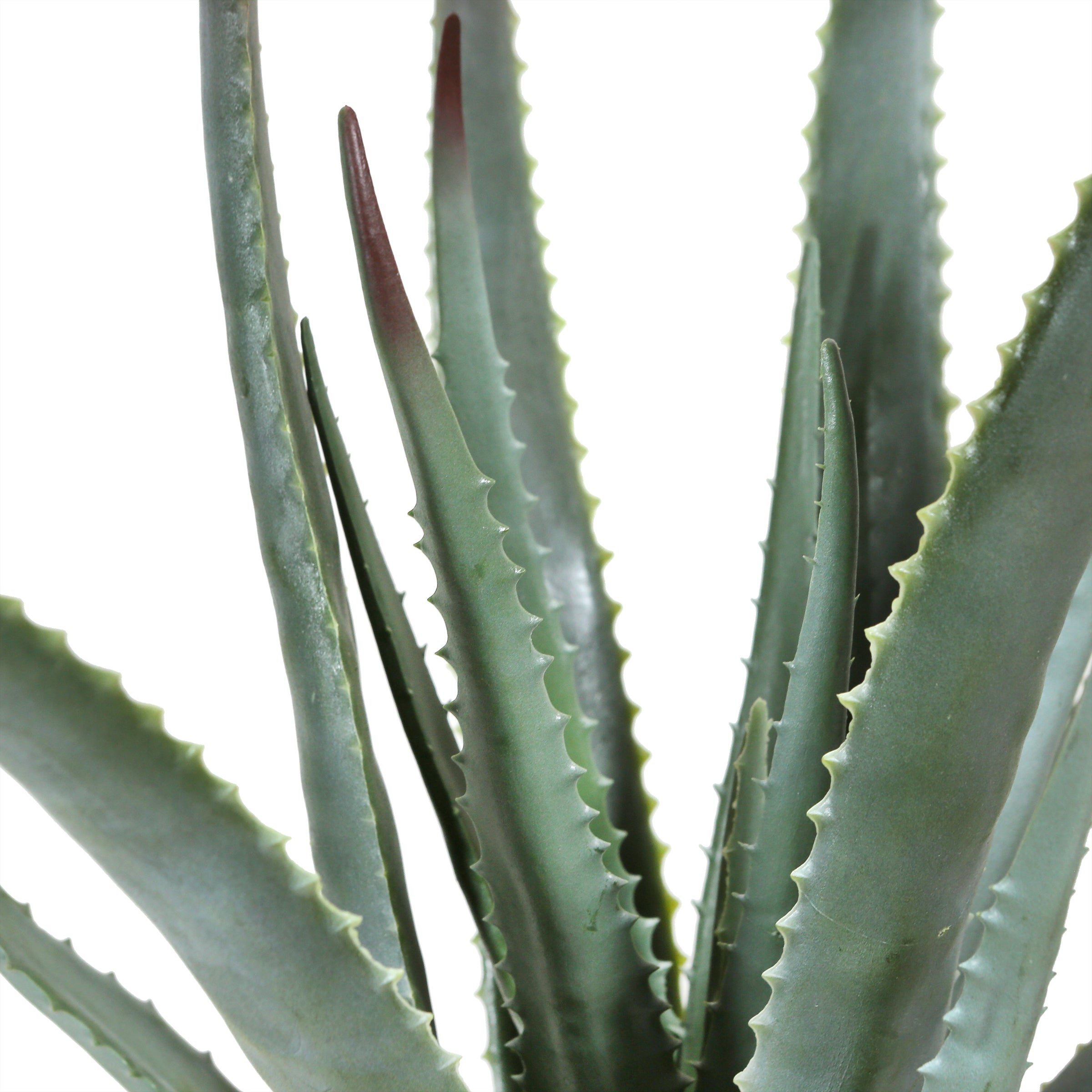 Artificial Potted Aloe Plant 20in