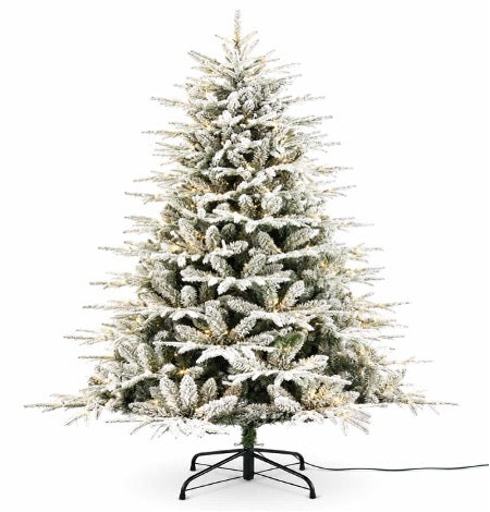 The Ainsworth Pine Tree - 6ft