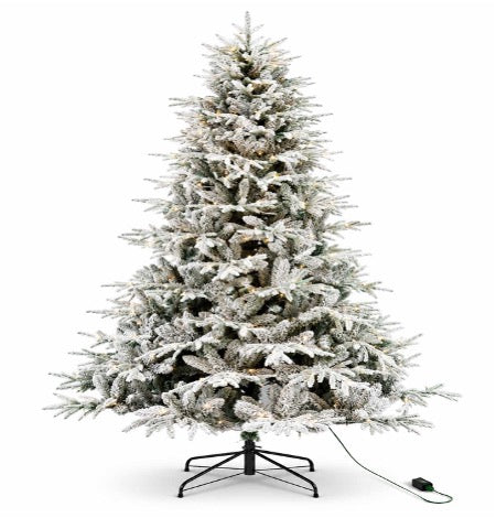 The Ainsworth Pine Tree - 7.5ft