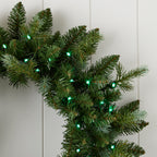 Bluffton 24" Wreath with RGB Lights and Remote
