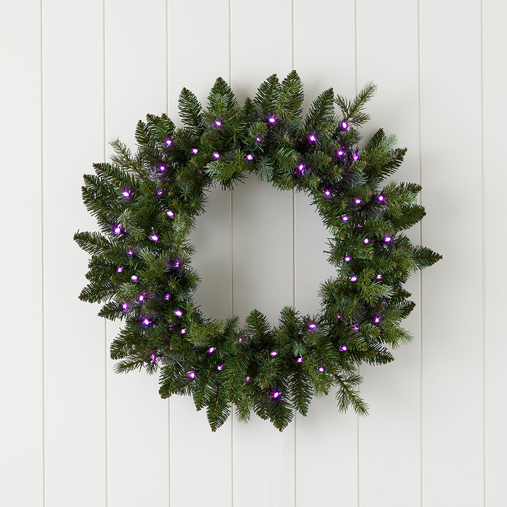 Bluffton 24" Wreath with RGB Lights and Remote
