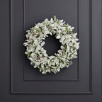 Snowy Lambs Ear and Holly Berry 24in Wreath-White (Unlit)
