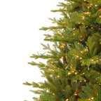 Dandan Pine Prelit Tree