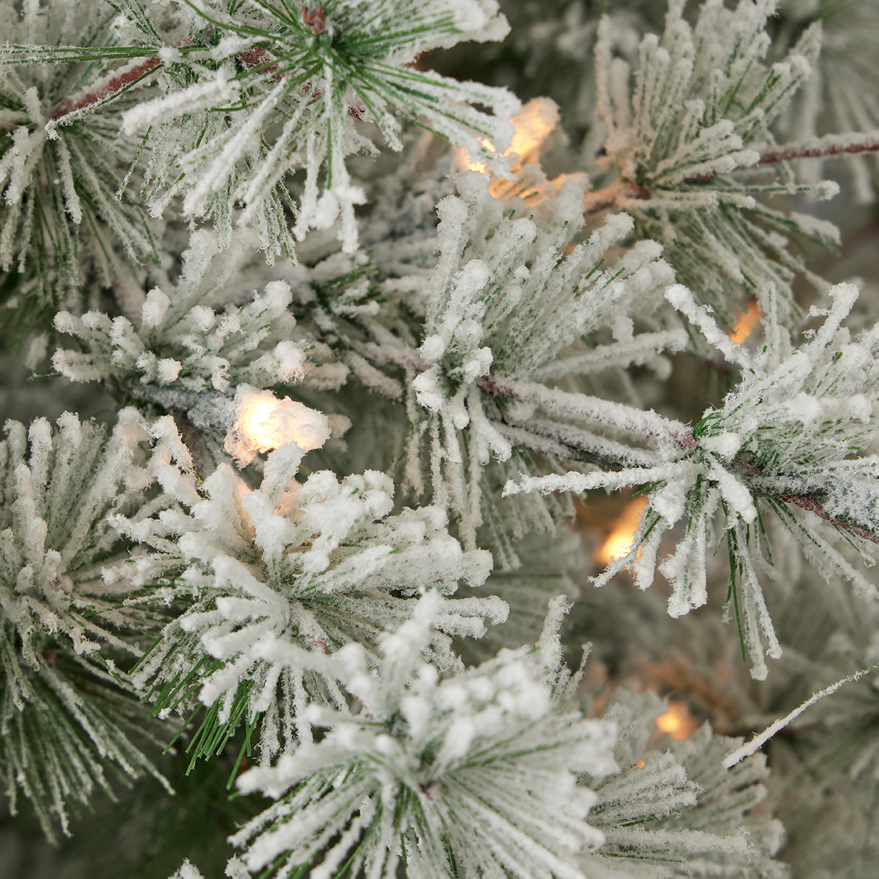 Flocked Winter Fir Hard Needle Tree with Warm White LED Lights