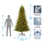 Dandan Pine Prelit Tree