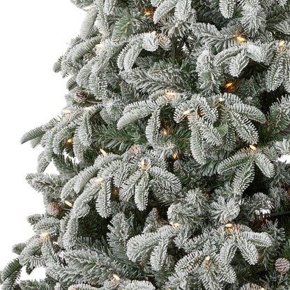 Lexington Fir Lightly Dusted Pre-Lit Tree with Warm White LED Lights and Pinecones