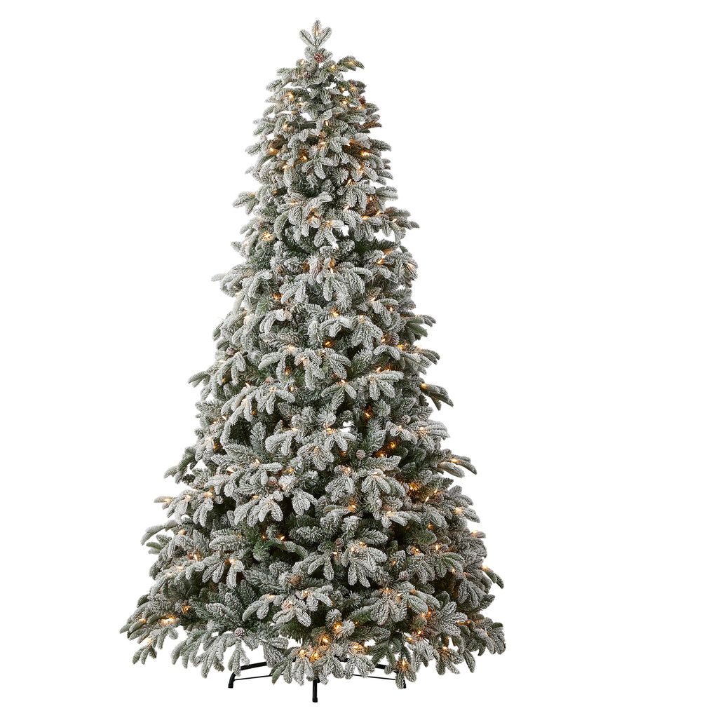 Lexington Fir Lightly Dusted 7.5ft Pre-Lit Tree with Warm White LED Lights and Pinecones