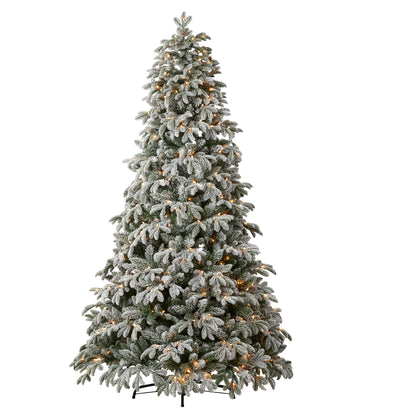 Lexington Fir Lightly Dusted Pre-Lit Tree with Warm White LED Lights and Pinecones