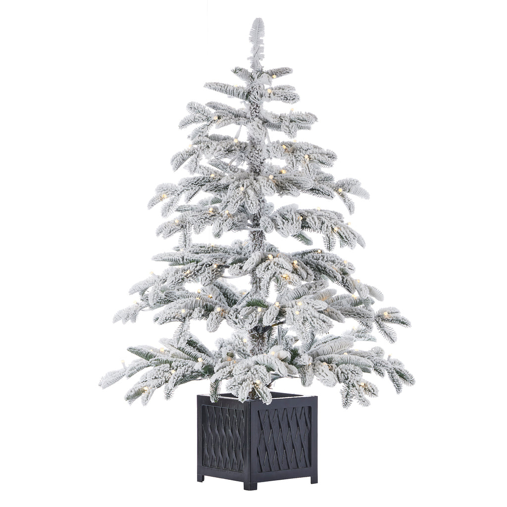 Jackson Flocked Artificial Pre-Lit Pine Tree