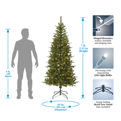 Valley Pine Pre-lit Tree with Warm White LED Lights