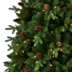 Canyon Ranch Fir Pre-Lit Tree with Warm White LED Lights and Pinecones