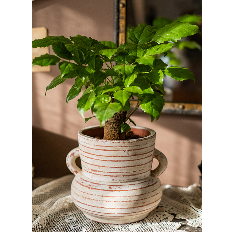 Terracotta Planter Vase
