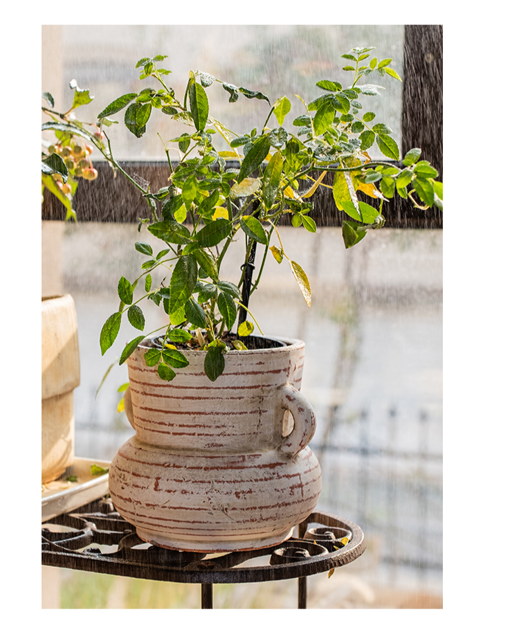Terracotta Planter Vase