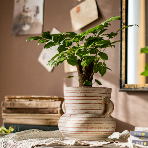 Terracotta Planter Vase
