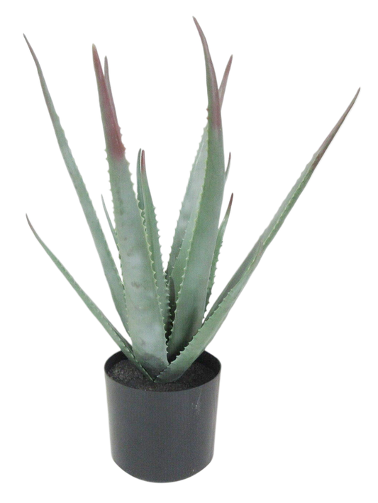 Artificial Potted Aloe Plant 20in