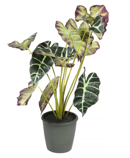 Artificial Potted Alocasia Plant 20in