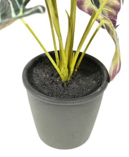 Artificial Potted Alocasia Plant 20in