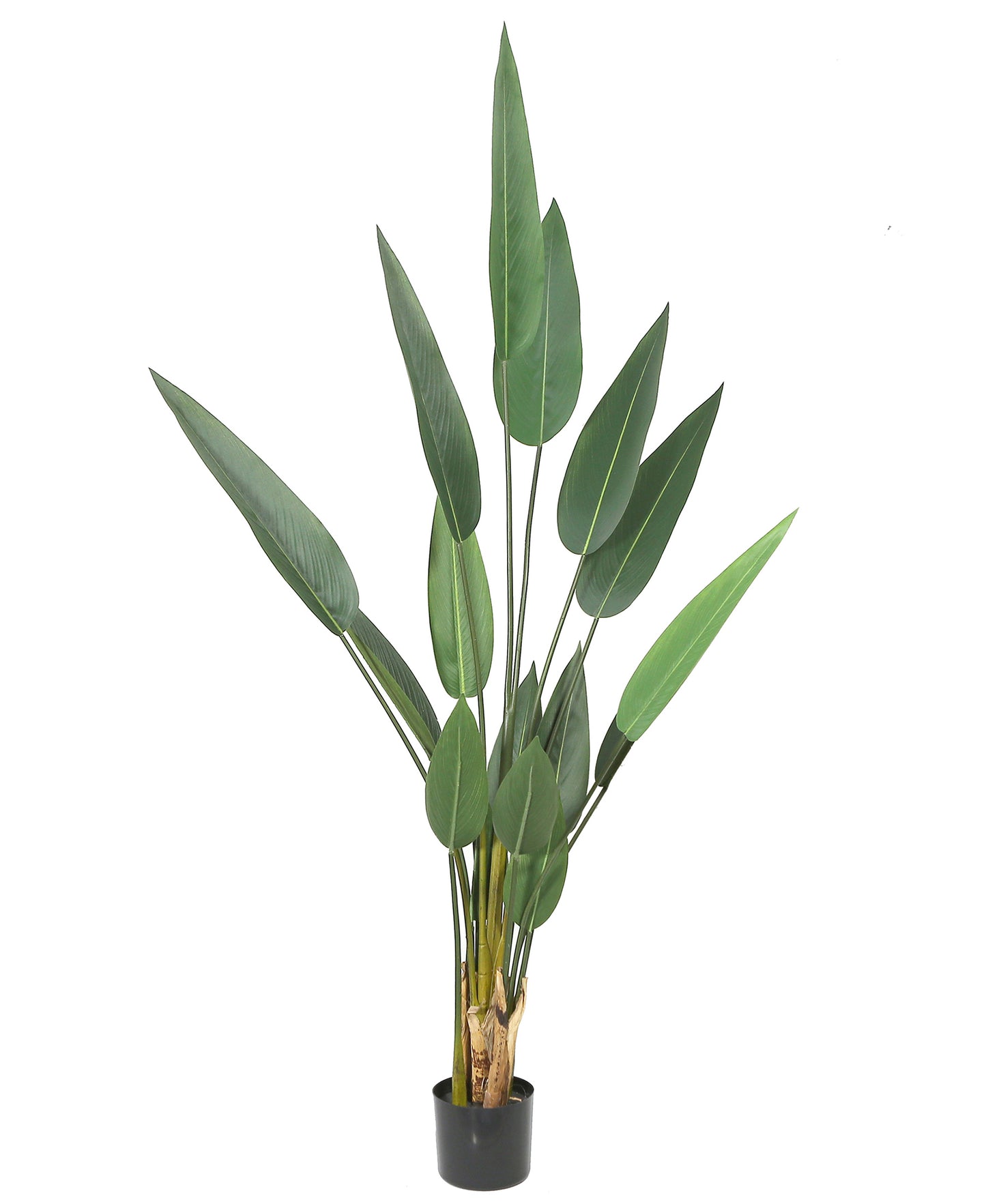 Artificial Potted Canna Palm Tree 63in