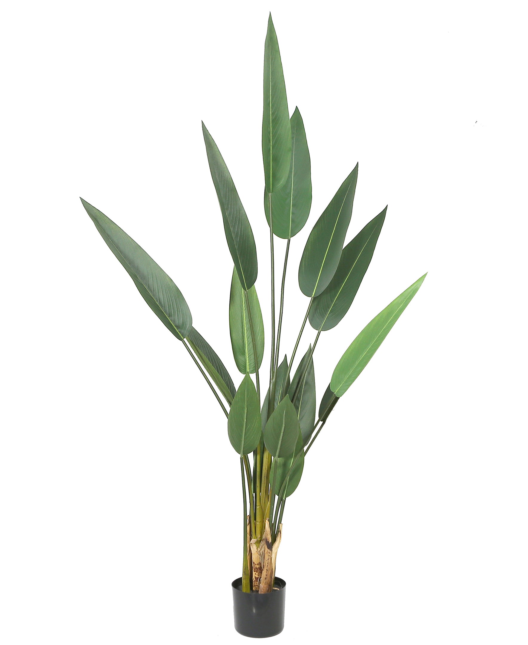 Artificial Potted Canna Palm Tree 63in