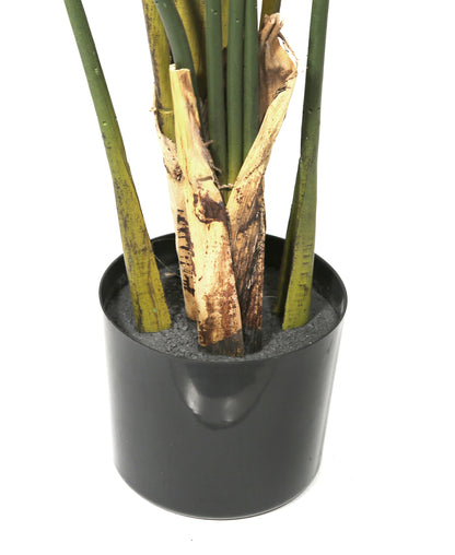 Artificial Potted Canna Palm Tree 63in