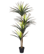 Artificial Potted Dracaena Marginata Tree 67in
