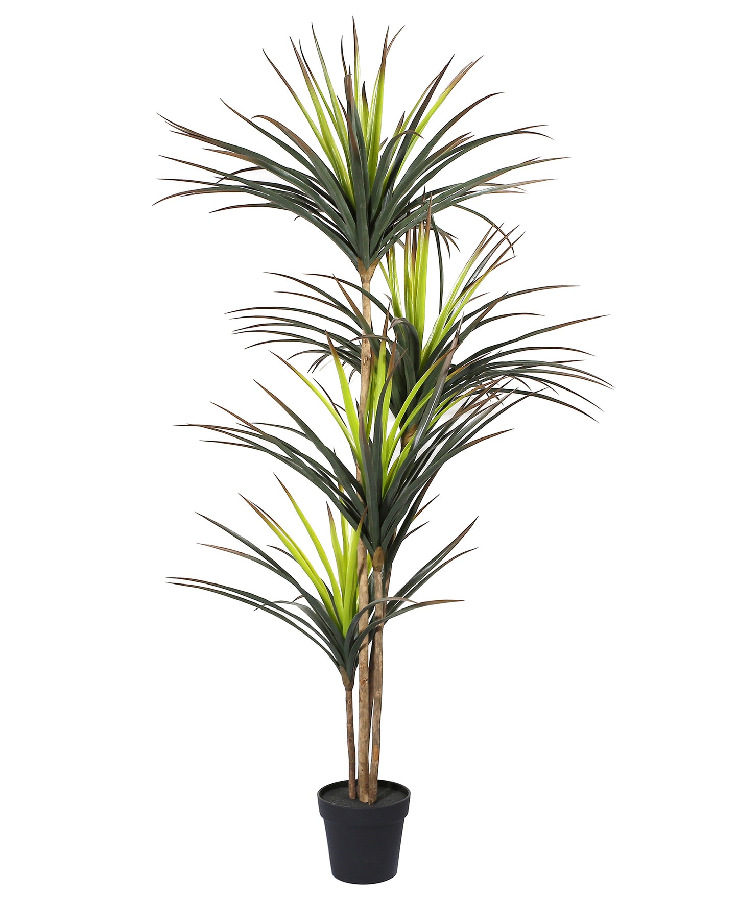 Artificial Potted Dracaena Marginata Tree 67in