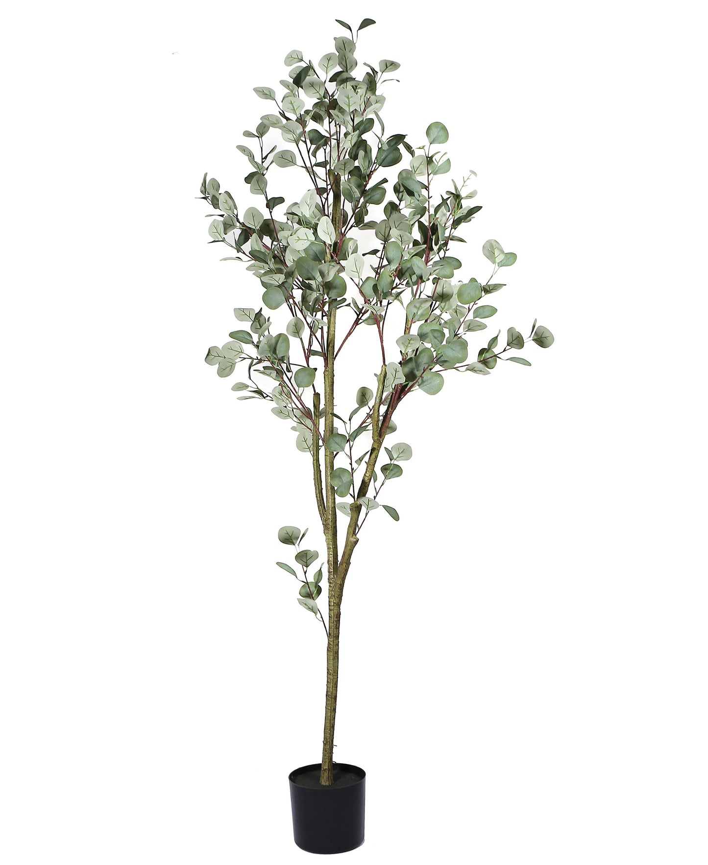 Artificial Potted Eucalyptus Tree 70in