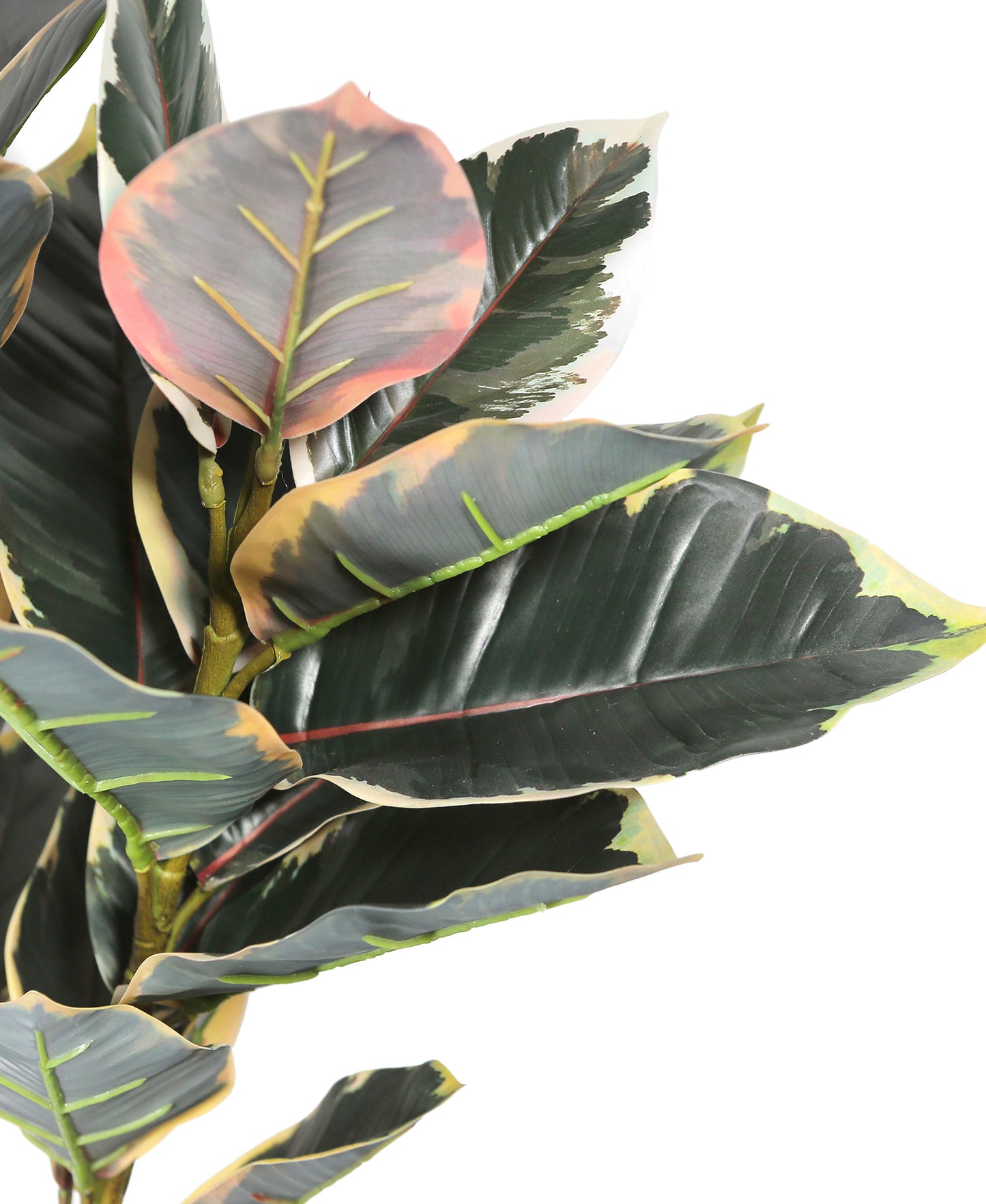 Artificial Potted Autumn Colored Rubber Tree 50in