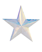 Prismatic Iridescent Traditional Star 14", LED lights