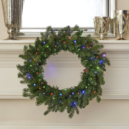 Palmetto Pine 24in Wreath Pre-lit with 50 Dual LED lights and 9 Functions (Battery-Operated)