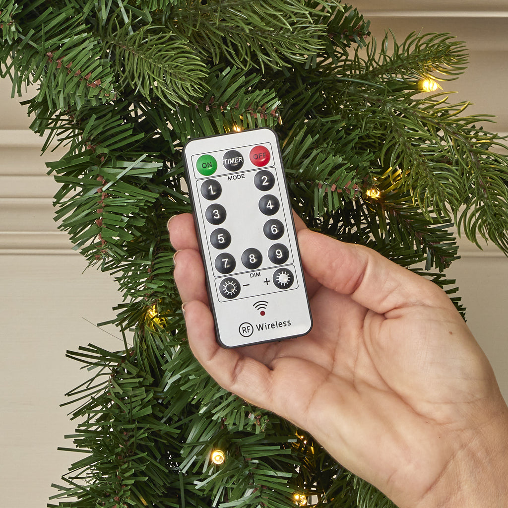 Palmetto Pine 24in Wreath Pre-lit with 50 Dual LED lights and 9 Functions (Battery-Operated)