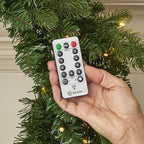 Palmetto Pine 24in Wreath Pre-lit with 50 Dual LED lights and 9 Functions (Battery-Operated)
