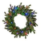 Palmetto Pine 24in Wreath Pre-lit with 50 Dual LED lights and 9 Functions (Battery-Operated)