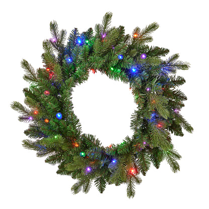 Palmetto Pine 24in Wreath Pre-lit with 50 Dual LED lights and 9 Functions (Battery-Operated)