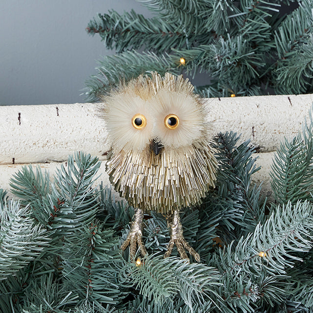 Pipa Owl
