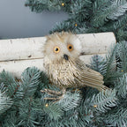 Pipa Owl