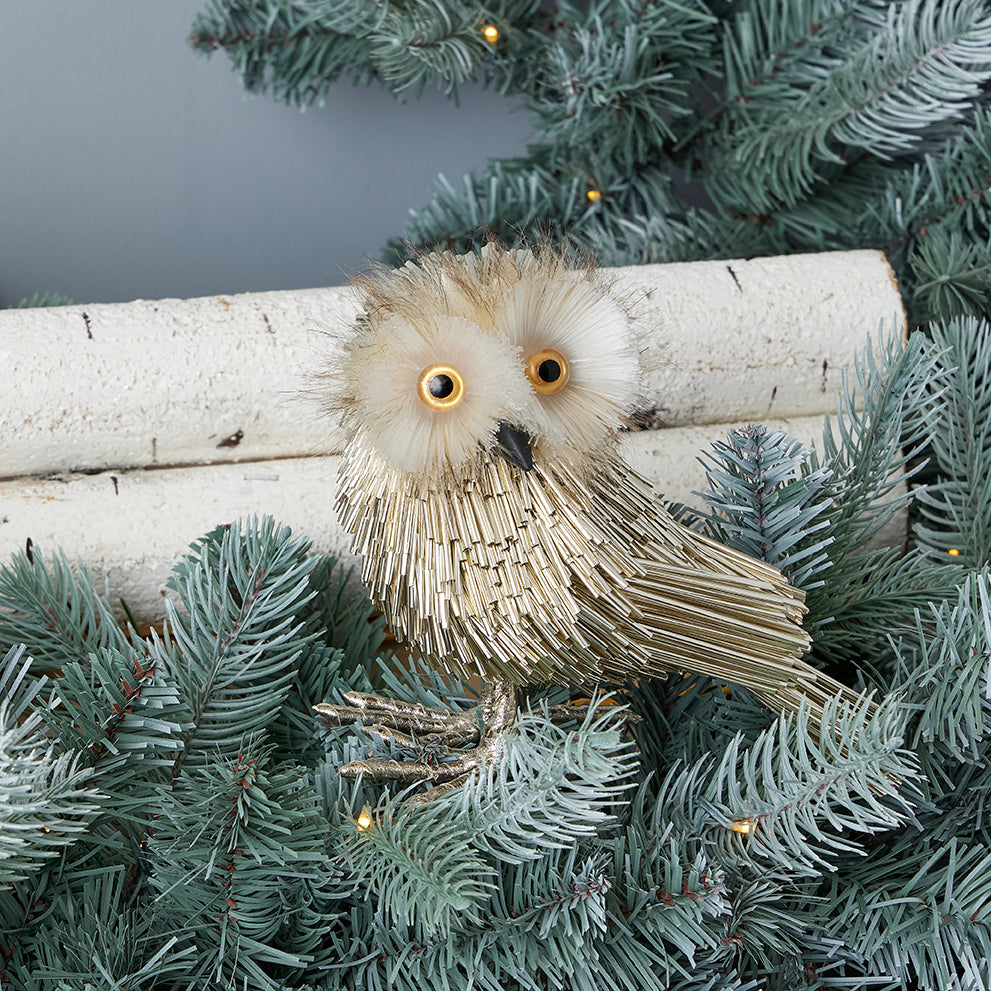 Pipa Owl