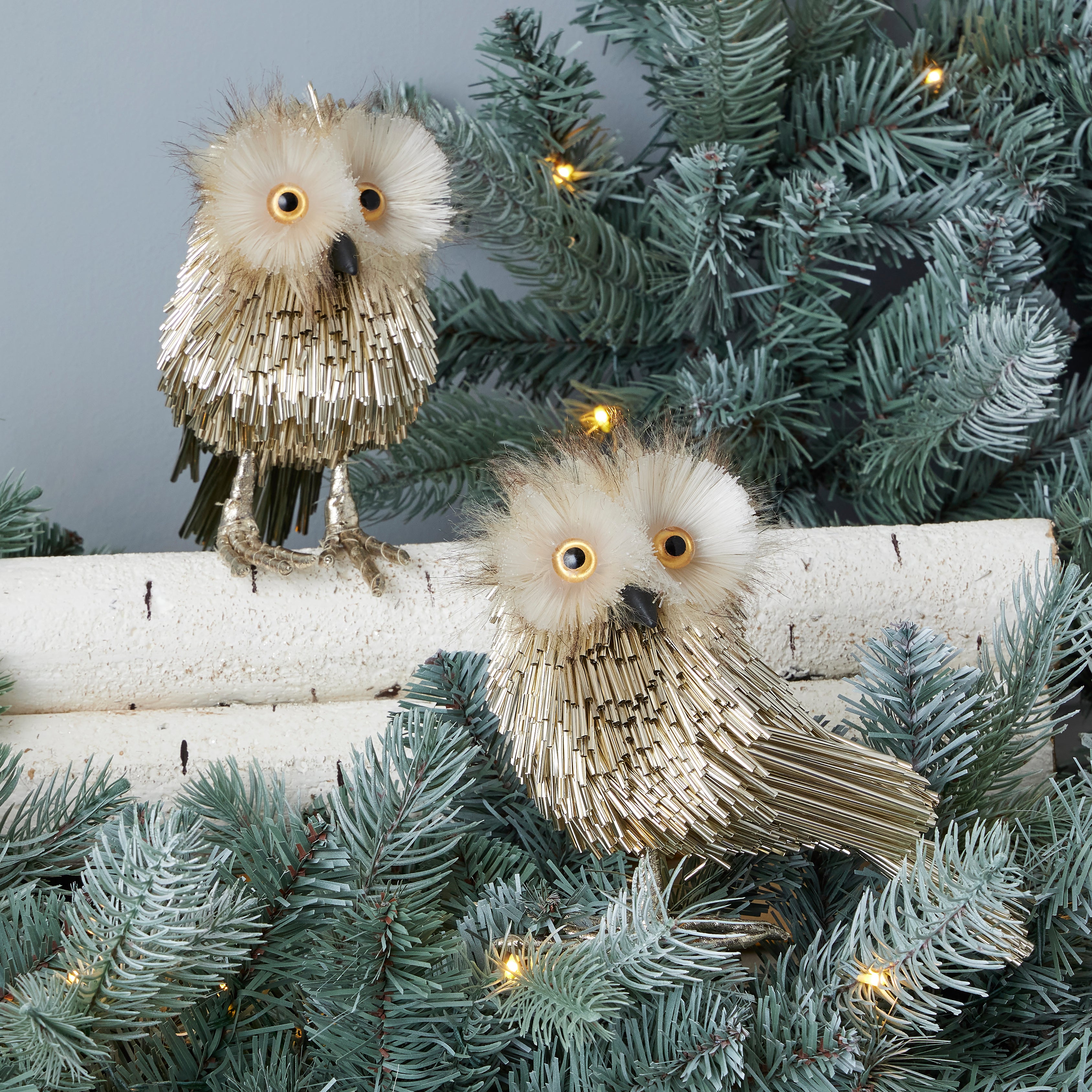 Pipa Owl